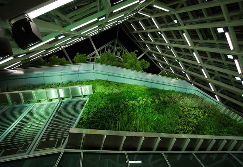 jardines-verticales-altos-mundo-madrid-torre-cristal