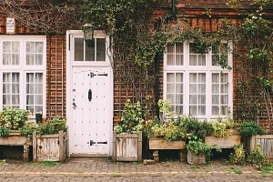 beneficios-plantas-casa