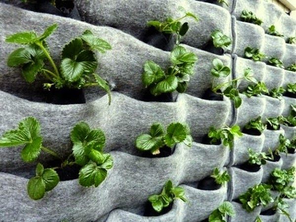 jardin-vertical-bolsas-fieltro