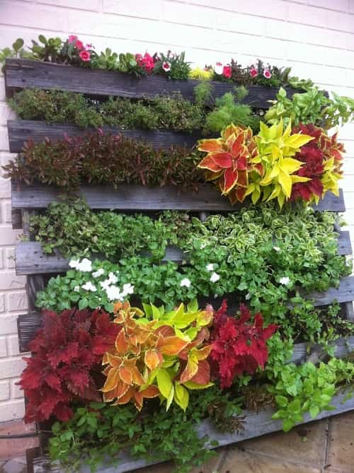 jardin-vertical-palets