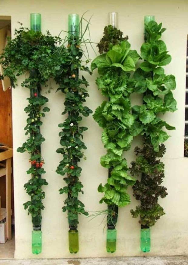 jardin-vertical-tubos