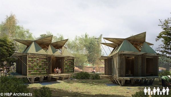 bambu-casa-ecologica
