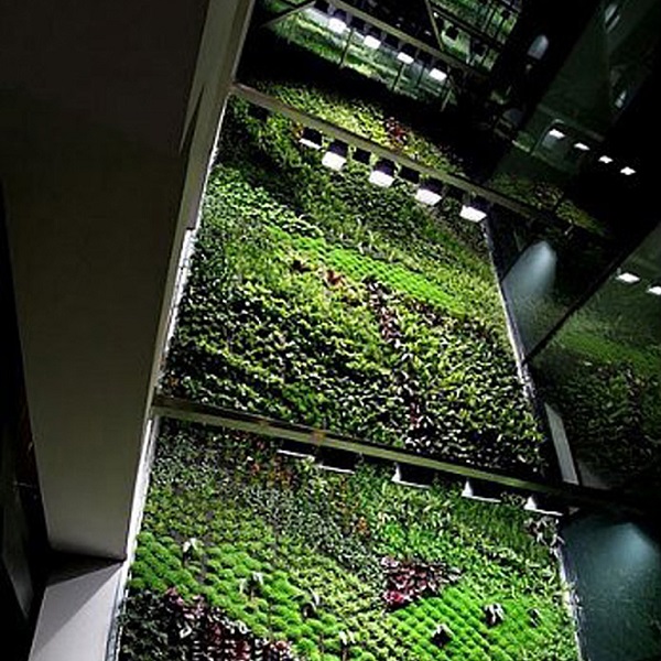 fachadas-vegetales-jardines-verticales