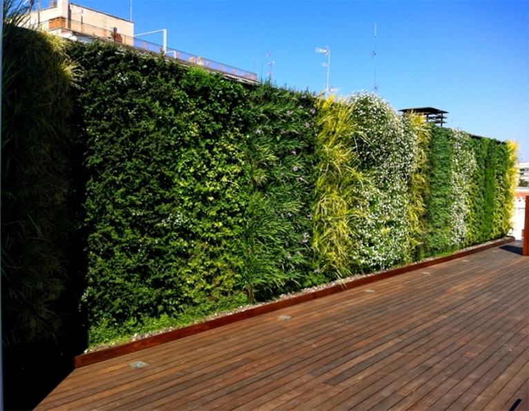 muro-verde-atico