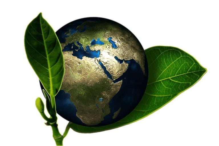 imagen-sostenibilidad