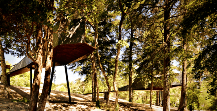 Casa-prefabricada-madera-arboles
