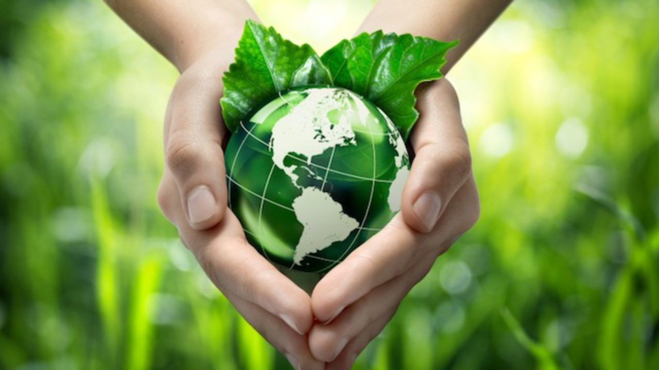 mundo-ecológico