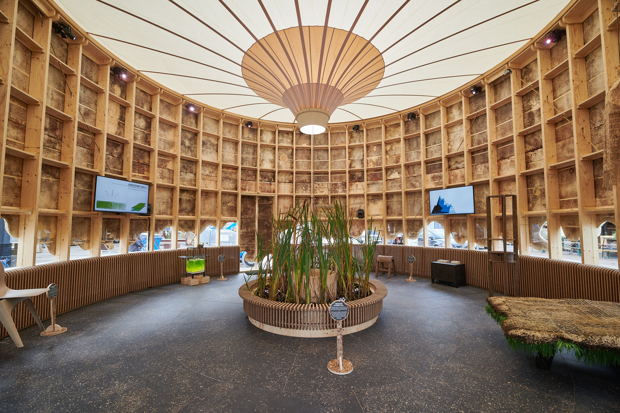 interior-pabellon-creciente-micelio