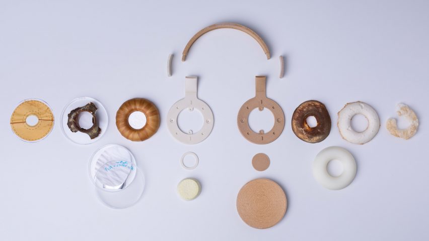 cascos-hongos-micelio