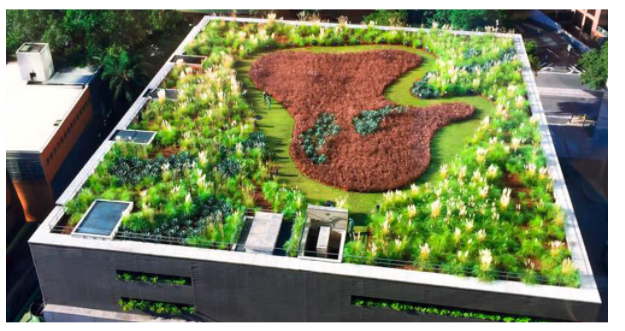 cubiertas-vegetales-construccion-industrializada