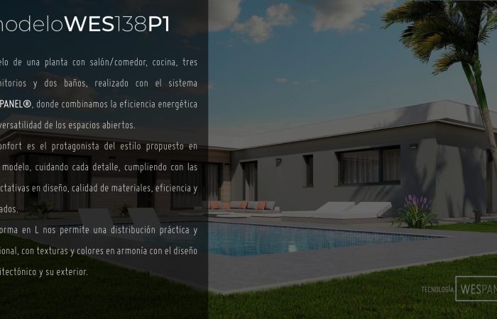 MODELO-1-WES-138-P1_page-0003