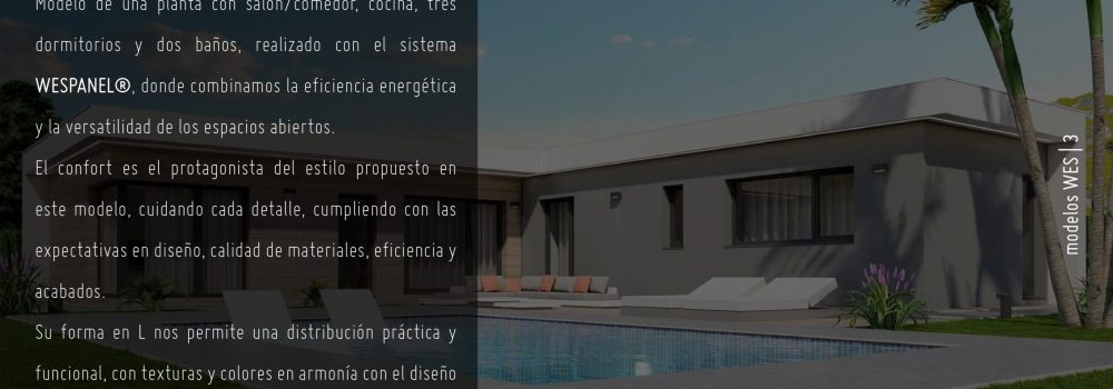 MODELO-1-WES-138-P1_page-0003
